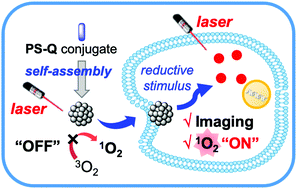 Graphical abstract: Ubiquinone-BODIPY nanoparticles for tumor redox-responsive fluorescence imaging and photodynamic activity