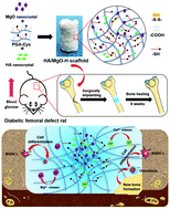 Graphical abstract: HA/MgO nanocrystal-based hybrid hydrogel with high mechanical strength and osteoinductive potential for bone reconstruction in diabetic rats