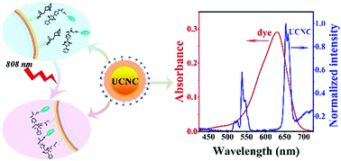 Graphical abstract: Increasing antibiotic activity by rapid bioorthogonal conjugation of drug to resistant bacteria using an upconverted light-activated photocatalyst