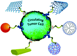 Graphical abstract: Chemo-specific designs for the enumeration of circulating tumor cells: advances in liquid biopsy