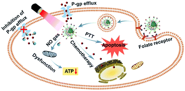 Graphical abstract: NIR-II light triggered nitric oxide release nanoplatform combined chemo-photothermal therapy for overcoming multidrug resistant cancer