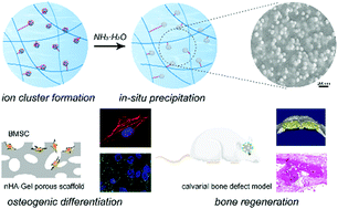 Graphical abstract: Constructing a biomimetic nanocomposite with the in situ deposition of spherical hydroxyapatite nanoparticles to induce bone regeneration