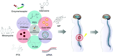 Graphical abstract: Nanopharmaceutical-based regenerative medicine: a promising therapeutic strategy for spinal cord injury