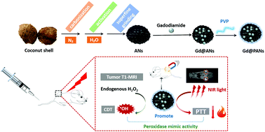 Graphical abstract: Coconut-shell-derived activated carbon for NIR photo-activated synergistic photothermal-chemodynamic cancer therapy