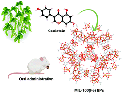Graphical abstract: Improving the genistein oral bioavailability via its formulation into the metal–organic framework MIL-100(Fe)