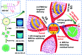 Graphical abstract: Ultrasound lighting up AIEgens for potential surgical navigation