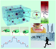 Graphical abstract: A bio-inspired self-recoverable polyampholyte hydrogel with low temperature sensing