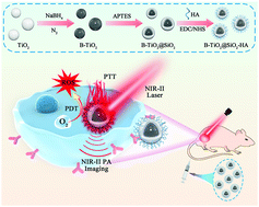 Graphical abstract: A full-spectrum responsive B-TiO2@SiO2–HA nanotheranostic system for NIR-II photoacoustic imaging-guided cancer phototherapy