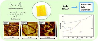 Graphical abstract: Amorphous solid dispersions in poly(ε-caprolactone)/xanthohumol bioactive blends: physicochemical and mechanical characterization