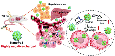 Graphical abstract: A pH-sensitive nanoagent self-assembled from a highly negatively-charged phthalocyanine with excellent biosafety for photothermal therapy