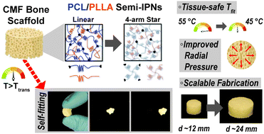 Graphical abstract: Shape memory polymer (SMP) scaffolds with improved self-fitting properties