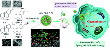 Graphical abstract: Self-assembled natural small molecule diterpene acids with favorable anticancer activity and biosafety for synergistically enhanced antitumor chemotherapy