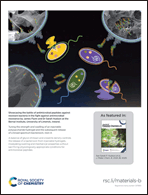 Graphical abstract: Back cover