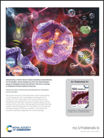 Graphical abstract: Back cover