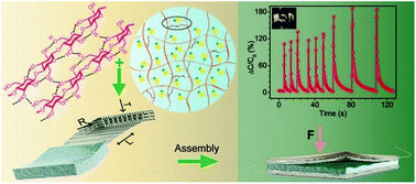 Graphical abstract: Muscle-inspired capacitive tactile sensors with superior sensitivity in an ultra-wide stress range