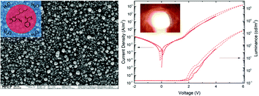 Graphical abstract: Green and stable processing of organic light-emitting diodes from aqueous nanodispersions