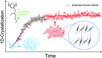 Graphical abstract: On the growth, structure and dynamics of P3EHT crystals