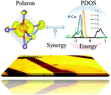 Graphical abstract: The electronic properties tuned by the synergy of polaron and d-orbital in a Co–Sn co-intercalated α-MoO3 system