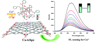 Graphical abstract: Robust fluorescent calcium coordination polymers as Cu2+ sensors with high sensitivity and fast response