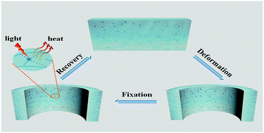 Graphical abstract: Facile fabrication of a CD/PVA composite polymer to access light-responsive shape-memory effects