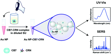 Graphical abstract: Dual-triggered nanoaggregates of cucurbit[7]uril and gold nanoparticles for multi-spectroscopic quantification of creatinine in urinalysis