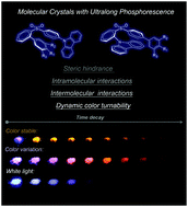 Graphical abstract: Enabling dynamic ultralong organic phosphorescence in molecular crystals through the synergy between intramolecular and intermolecular interactions