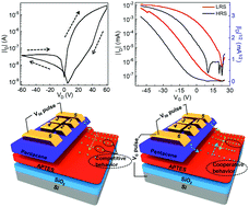 Graphical abstract: Mimicking the competitive and cooperative behaviors with multi-terminal synaptic memtransistors