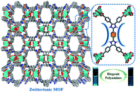 Graphical abstract: Selective sensing of aliphatic biogenic polyamines by a zwitterionic Cd-MOF based on bisimidazole tetracarboxylic acid linker