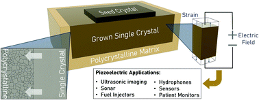 Graphical abstract: Solid-state crystal growth of lead-free ferroelectrics