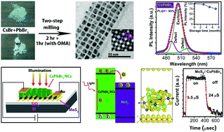 Graphical abstract: Solid-state synthesis of stable and color tunable cesium lead halide perovskite nanocrystals and the mechanism of high-performance photodetection in a monolayer MoS2/CsPbBr3 vertical heterojunction