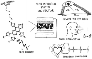 Graphical abstract: Efficient and readily tuneable near-infrared photodetection up to 1500 nm enabled by thiadiazoloquinoxaline-based push–pull type conjugated polymers