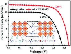 Graphical abstract: An efficient and stable tin-based perovskite solar cell passivated by aminoguanidine hydrochloride