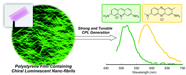 Graphical abstract: Polymer encapsulation and stabilization of molecular gel-based chiroptical information for strong, tunable circularly polarized luminescence film