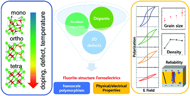Graphical abstract: Review of defect chemistry in fluorite-structure ferroelectrics for future electronic devices