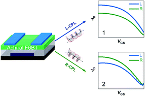 Graphical abstract: Enabling discrimination capability in an achiral F6BT-based organic semiconductor transistor via circularly polarized light induction