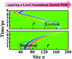 Graphical abstract: Directional and ultrafast migrations of excitons/biexcitons in organic polymers by utilizing a local nonuniform electric field