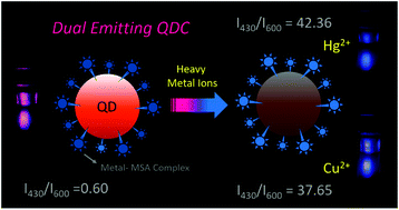 Graphical abstract: A dual-emitting quantum dot complex nanoprobe for ratiometric and visual detection of Hg2+ and Cu2+ ions