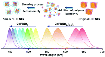 Graphical abstract: Polymer ligands induced remarkable spectral shifts in all-inorganic lead halide perovskite nanocrystals