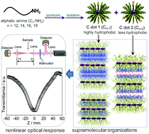 Graphical abstract: Ordered structures of alkylated carbon dots and their applications in nonlinear optics