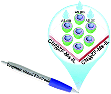 Graphical abstract: Synthesis and sensing efficiency of CN-wrapped ZnFe2O4 microsphere–ionic liquid composites towards ultra-high sensitive arsenic(iii) monitoring of ground drinking water