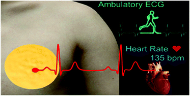 Graphical abstract: Highly adhesive, washable and stretchable on-skin electrodes based on polydopamine and silk fibroin for ambulatory electrocardiography sensing