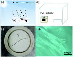 Graphical abstract: Photo-induced PM2.5 adsorption in molecular ferroelectric heterostructures