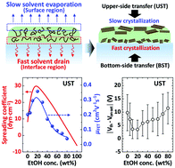 Graphical abstract: Understanding Marangoni flow-driven solidification of polymer semiconducting films on an aqueous substrate