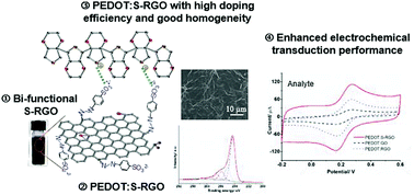 Graphical abstract: Bi-functional sulphonate-coupled reduced graphene oxide as an efficient dopant for a conducting polymer with enhanced electrochemical performance