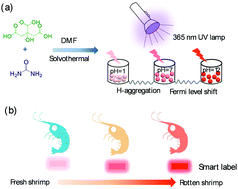 Graphical abstract: pH-Responsive carbon dots with red emission for real-time and visual detection of amines