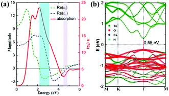 Graphical abstract: Transition from an indirect type-I to a direct type-II bandgap in α-tellurene/Ca(OH)2 heterostructures with excellent optical properties