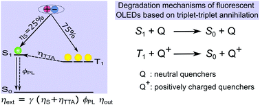 Graphical abstract: Degradation of fluorescent organic light emitting diodes caused by quenching of singlet and triplet excitons