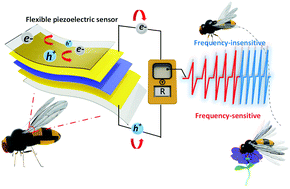 Graphical abstract: The frequency-response behaviour of flexible piezoelectric devices for detecting the magnitude and loading rate of stimuli