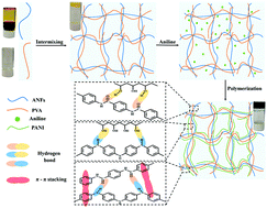 Graphical abstract: High strength and flexible aramid nanofiber conductive hydrogels for wearable strain sensors
