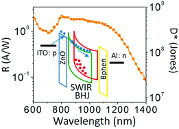 Graphical abstract: Tuning the charge blocking layer to enhance photomultiplication in organic shortwave infrared photodetectors